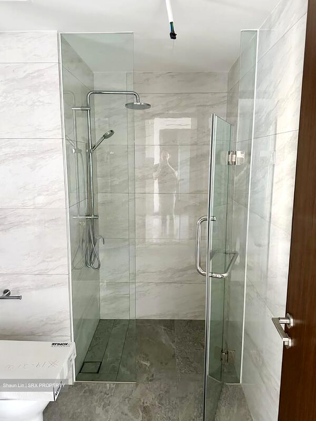 Normanton Park (D5), Apartment #452406131